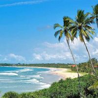 earl's reef beruwala