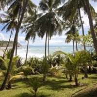 palm paradise cabanas