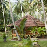 palm paradise cabanas