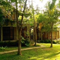 palm paradise cabanas