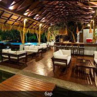 jungle beach resort