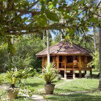 palm paradise cabanas