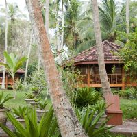 palm paradise cabanas