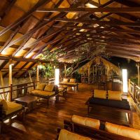 jungle beach resort