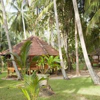 palm paradise cabanas