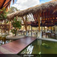 jungle beach resort