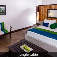jungle beach resort