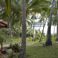 palm paradise cabanas