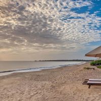 jungle beach resort