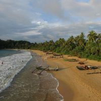 surya lanka ayurveda beach resort (18+) 3*