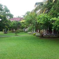 bougain villa guest