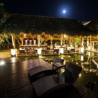 jungle beach resort