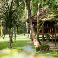palm paradise cabanas