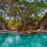 jungle beach resort