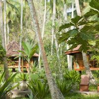palm paradise cabanas