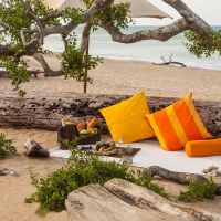 jungle beach resort