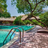 jungle beach resort