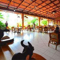 eva lanka hotel