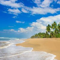 wadduwa beach resort