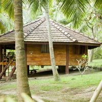 palm paradise cabanas