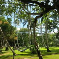 surya lanka ayurveda beach resort (18+) 3*