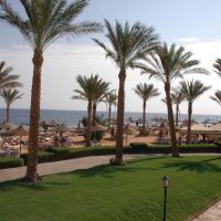 queen sharm resort (ex. vera club queen sharm beach)
