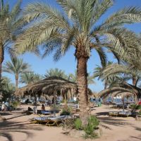 Jaz Fayrouz Resort (ex. hilton fayrouz)