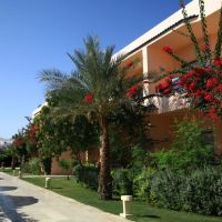 cataract sharm resort