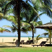 goldi sands hotel