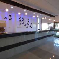 amore hotel apts