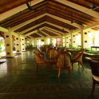 the palms hotel