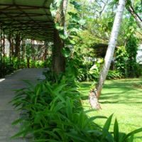 the palms hotel