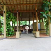 the palms hotel