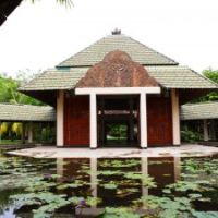 the palms hotel