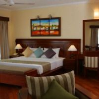 the palms hotel