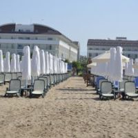 trendy verbena beach