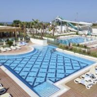 trendy verbena beach