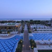 trendy verbena beach