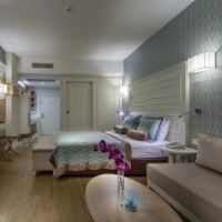 trendy verbena beach