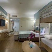trendy verbena beach