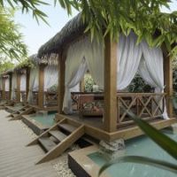 trendy verbena beach