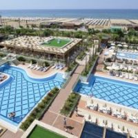 trendy verbena beach