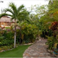 red ginger chic resort