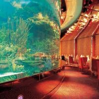 burj al arab