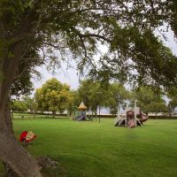 golden tulip al jazira hotel & resort