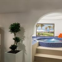 bahi ajman palace (ex.the ajman palace)