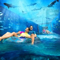 atlantis the palm
