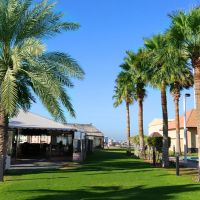 ras al khaimah hotel