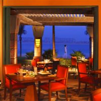 atlantis the palm