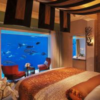atlantis the palm